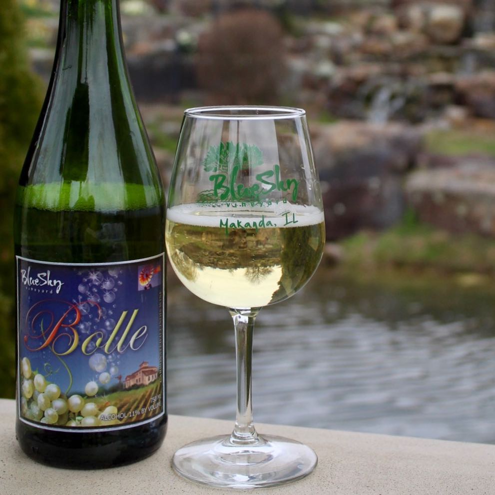 Bolle on Gazebo