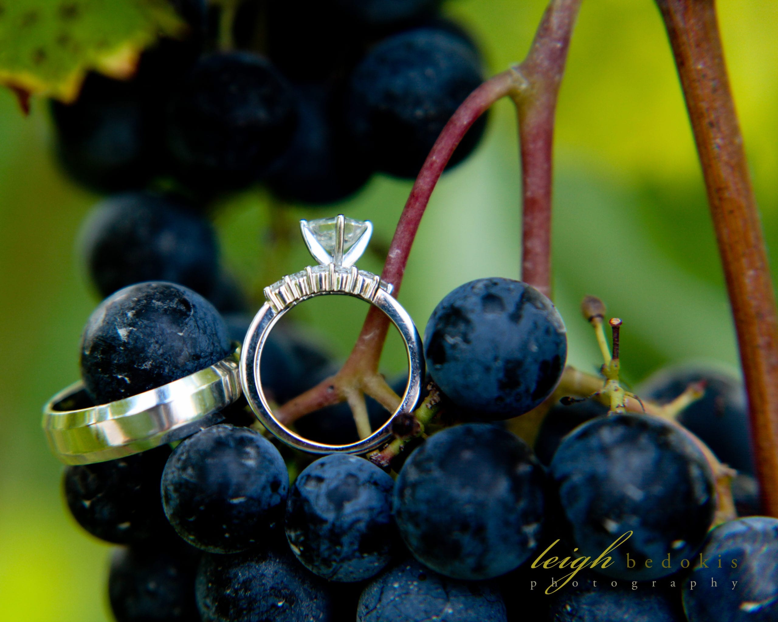 Wedding Ceremonies & Receptions | Blue Sky Vineyard