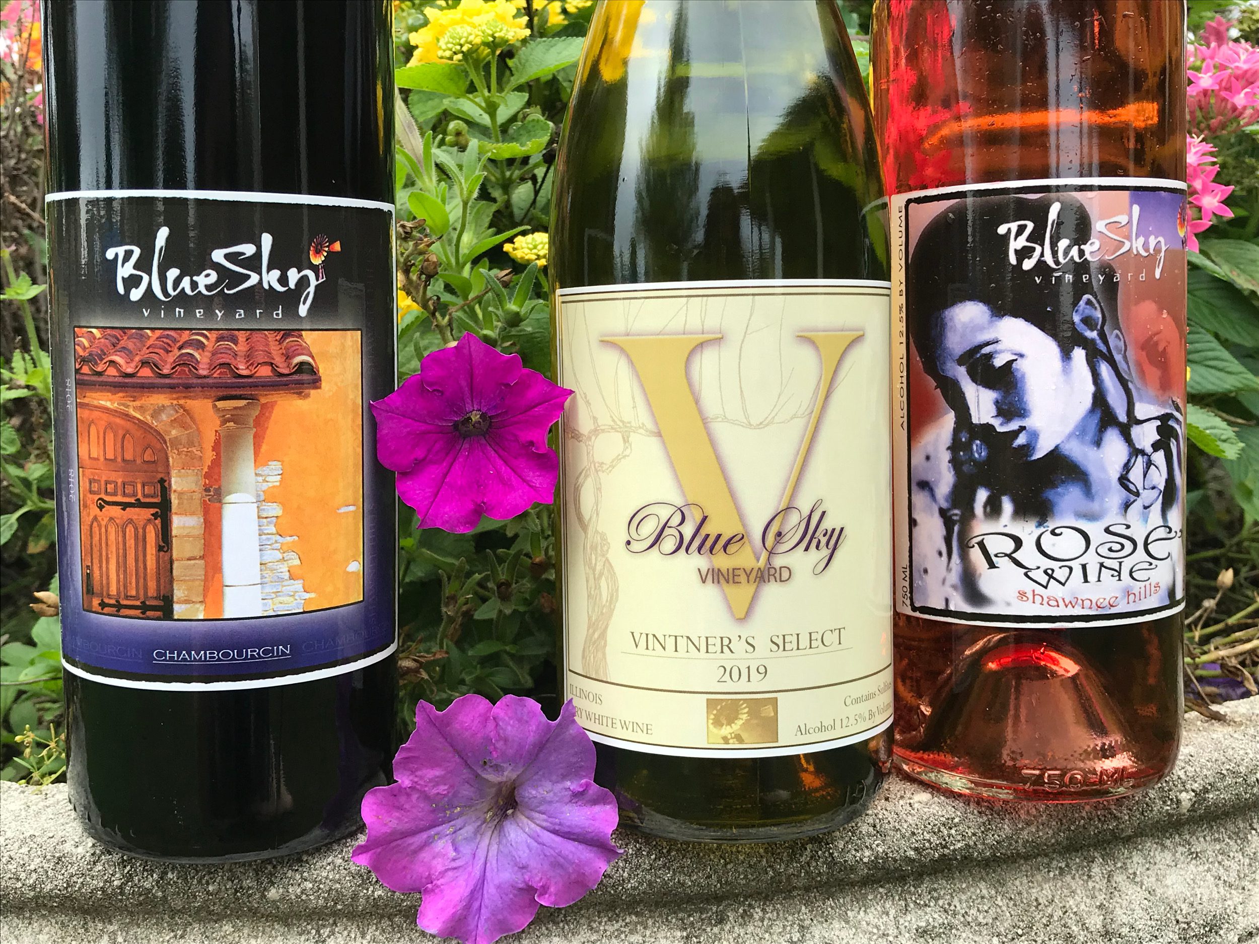 Virtual Tasting
