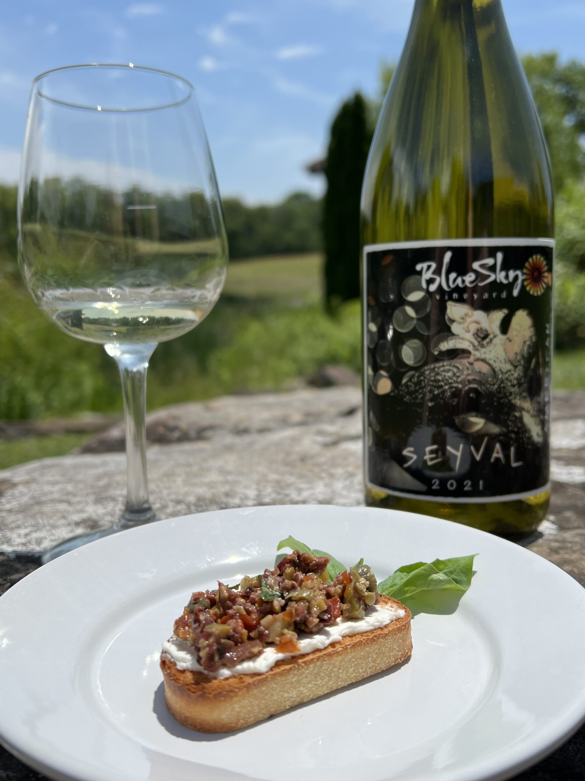 Seyval - Olive Tapenade Olive Tapenade and Wine